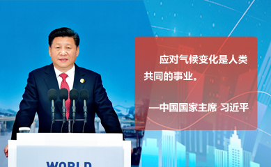 中国国家主席  习近平(图1)