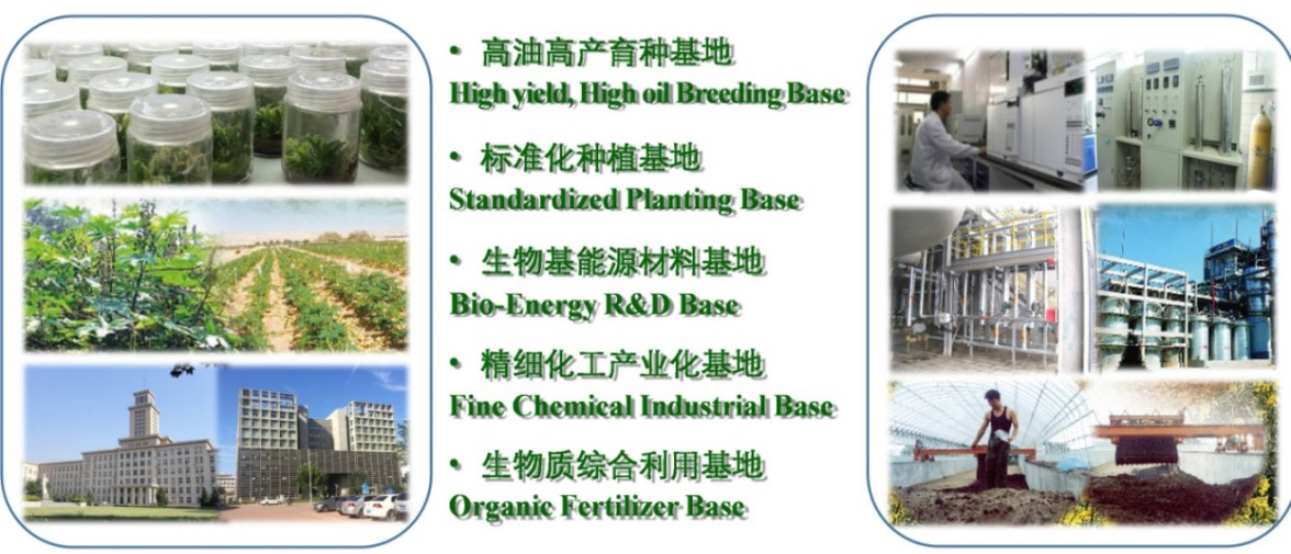 天津南开大学蓖麻工程科技有限公司(图1) 天津南开大学蓖麻工程科技有限公司(图1)
