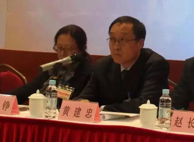 回顾首届中国碳博会盛况Review the first China carbon expo(图18) 回顾首届中国碳博会盛况Review the first China carbon expo(图18)